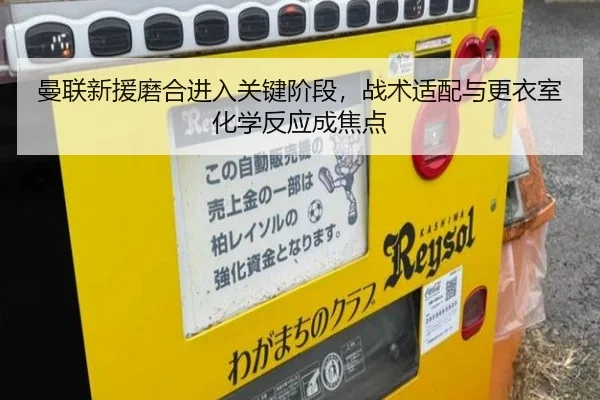 img_1783323372690_136_2_281.jpg